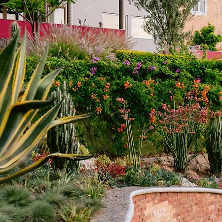Terra Vista Aparthotel Guanajuato Luaran gambar