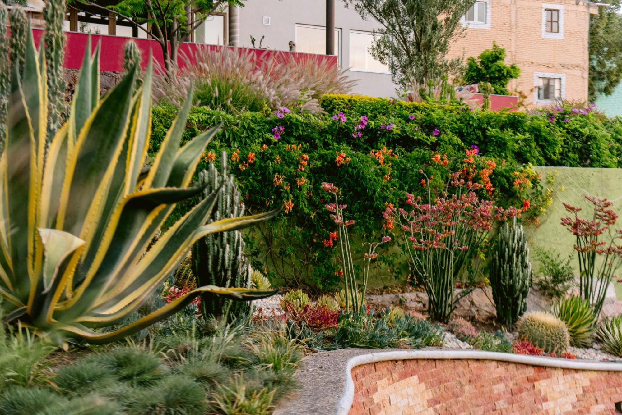Terra Vista Aparthotel Guanajuato Luaran gambar